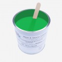 Pigmento per resine Verde Fluo 50 gr